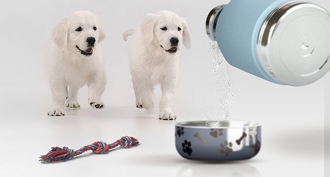 Термос Dog Bowl с миской для питомца, голубой