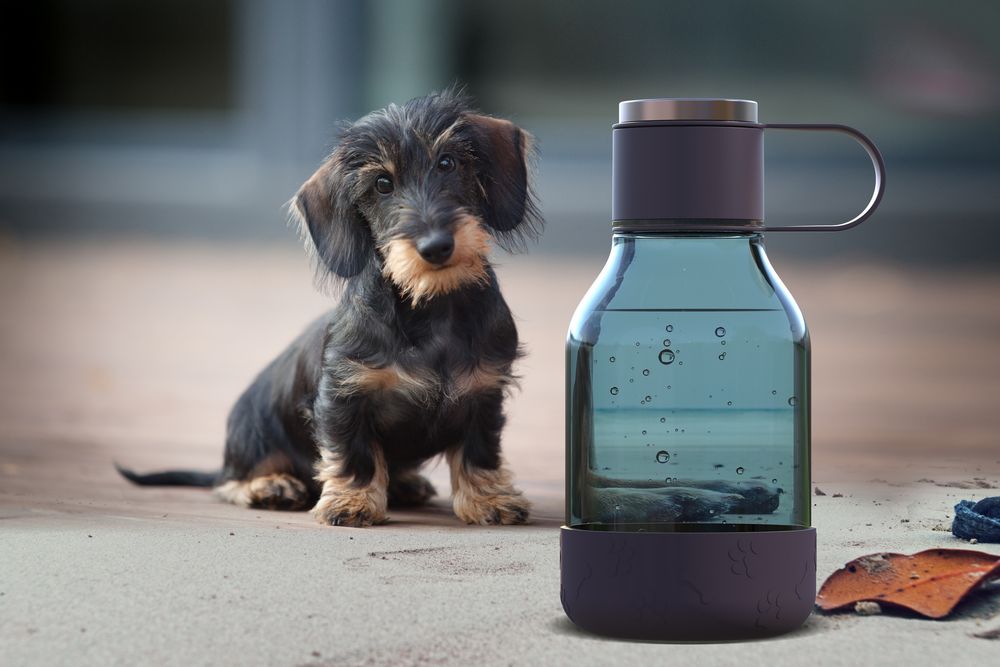 Бутылка для воды с миской для питомца Dog Water Bowl Lite, темно-фиолетовая